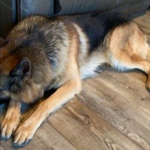 Meet your Posher, Travis